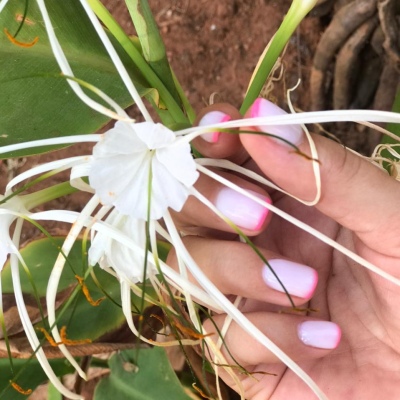 Móng tay, móng chân, tẩy lông, làm sạch da mặt.