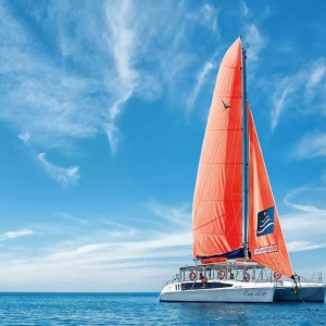 Chuyến đi du thuyền trong ngày