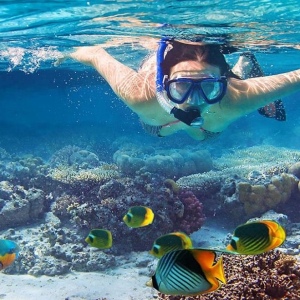 Lặn với ống thở và thư giãn trên tàu