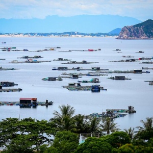 Фуйен không phải là một từ hoặc cụm từ tiếng Nga có thể dịch sang tiếng Việt.