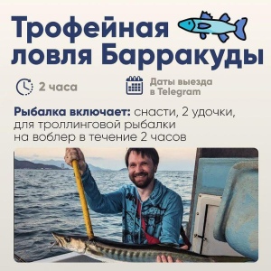 Đánh bắt cá barracuda trofeo